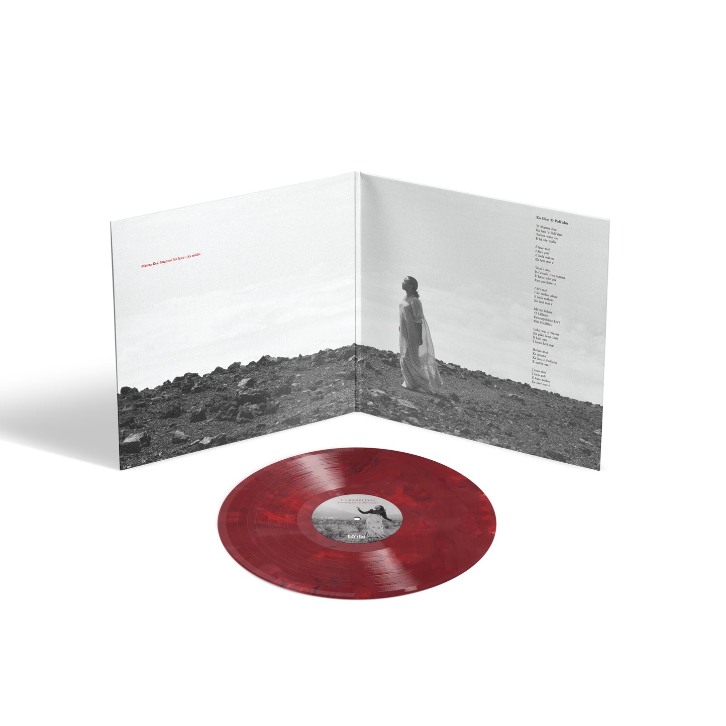 Standing Above the Clouds Vinyl + Digital